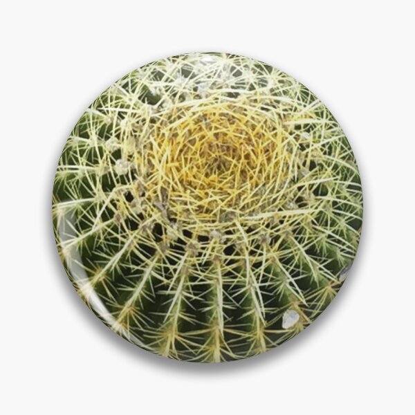 Item preview, Barrel Cacti designed and sold by Tammy's Handmade Gifts.