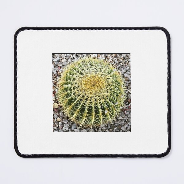 Item preview, Barrel Cacti designed and sold by Tammy's Handmade Gifts.