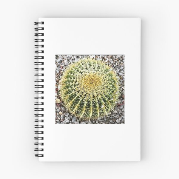 Item preview, Barrel Cacti designed and sold by Tammy's Handmade Gifts.