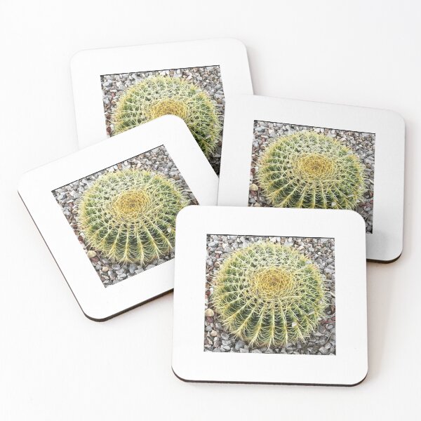 Item preview, Barrel Cacti designed and sold by Tammy's Handmade Gifts.