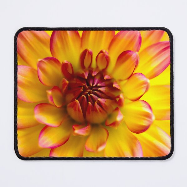Item preview, Wonderful Two Colored Petals designed and sold by JonnaHurmerinta.