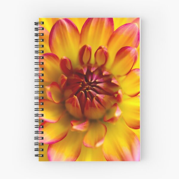 Item preview, Wonderful Two Colored Petals designed and sold by JonnaHurmerinta.