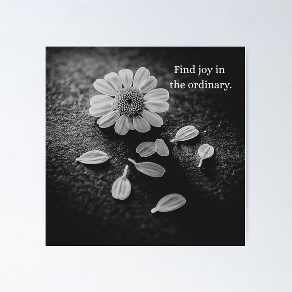Item preview, Find Joy in the Ordinary – Black and White Daisies designed and sold by Tammigrafie.