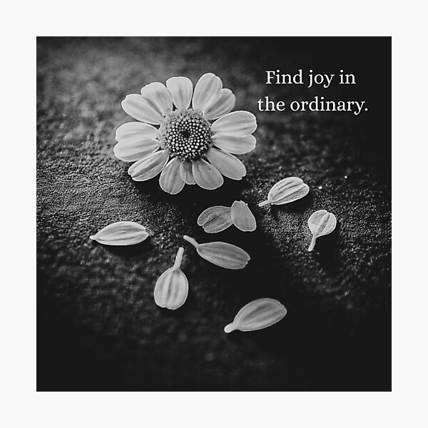 Item preview, Find Joy in the Ordinary – Black and White Daisies designed and sold by Tammigrafie.