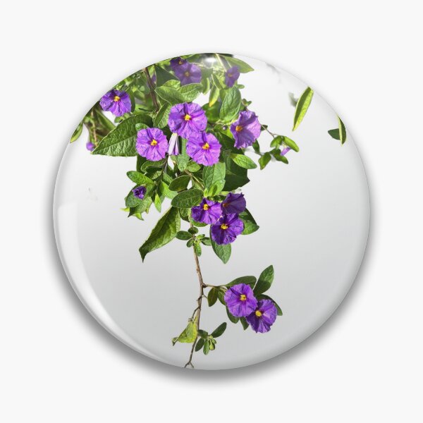 Item preview, Hanging Branch designed and sold by Bookworm Illustration.