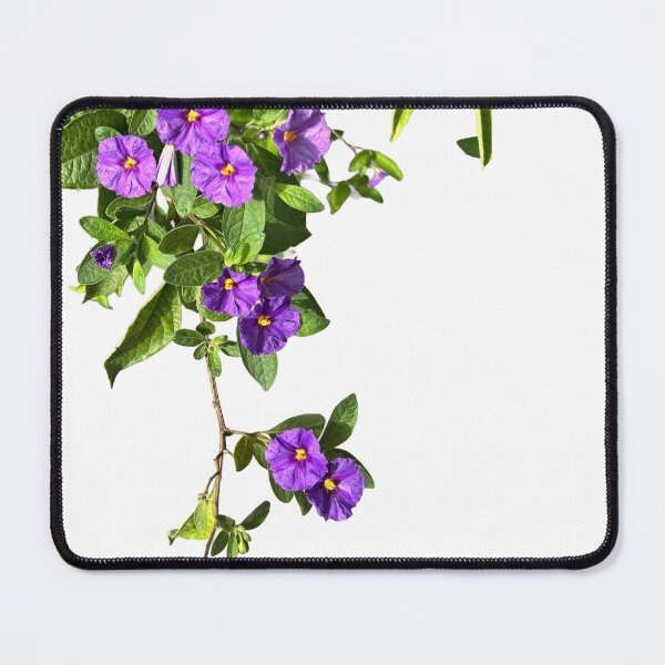 Item preview, Hanging Branch designed and sold by Bookworm Illustration.