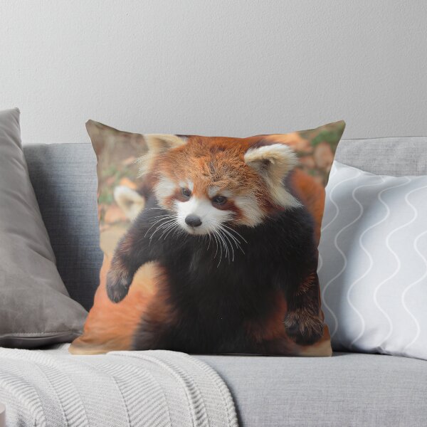 Item preview, Cute Standing Red Panda Funny Animal Portrait designed and sold by Vaelia.