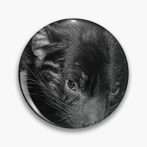 Item preview, Tasmanian Devil – Guardian of the Tasmanian Night designed and sold by Capture and Create.