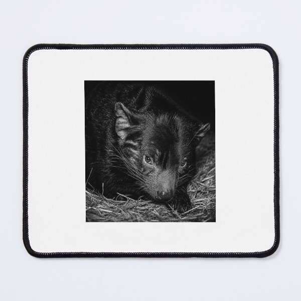 Item preview, Tasmanian Devil – Guardian of the Tasmanian Night designed and sold by Capture and Create.