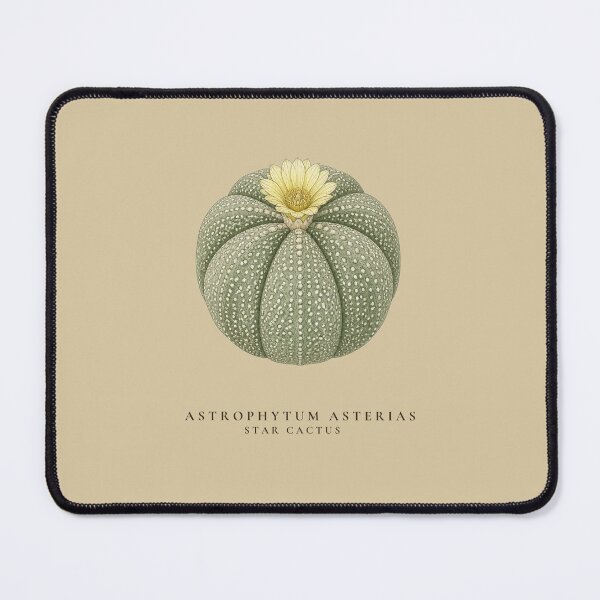 Item preview, Star Cactus Vintage Botanical Illustration Astrophytum Asterias designed and sold by Panom Suavichien.