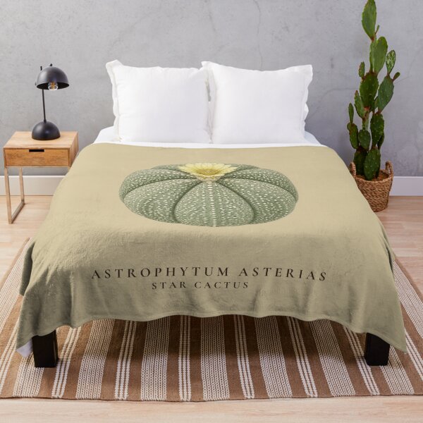 Item preview, Star Cactus Vintage Botanical Illustration Astrophytum Asterias designed and sold by Panom Suavichien.