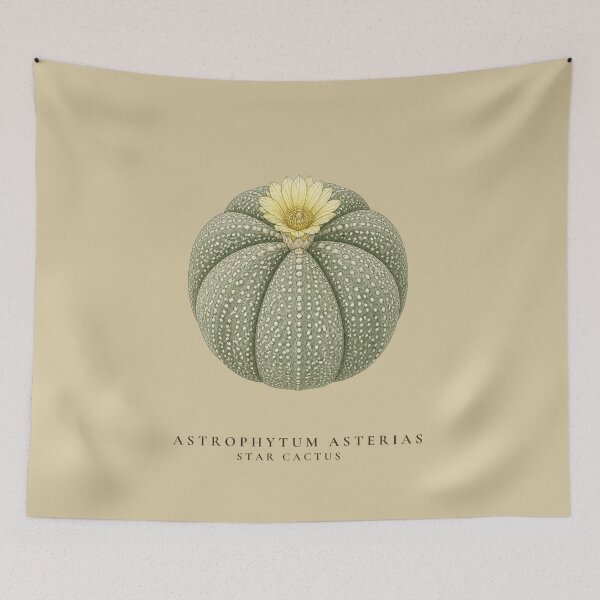Item preview, Star Cactus Vintage Botanical Illustration Astrophytum Asterias designed and sold by Panom Suavichien.