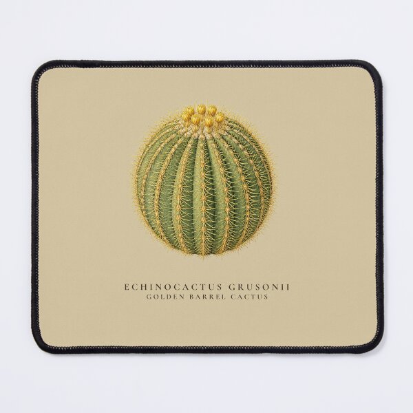 Item preview, Golden Barrel Cactus Vintage Botanical Illustration Echinocactus Grusonii designed and sold by Panom Suavichien.
