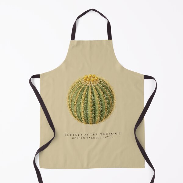 Item preview, Golden Barrel Cactus Vintage Botanical Illustration Echinocactus Grusonii designed and sold by Panom Suavichien.