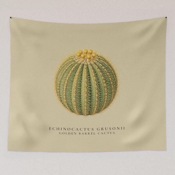 Item preview, Golden Barrel Cactus Vintage Botanical Illustration Echinocactus Grusonii designed and sold by Panom Suavichien.