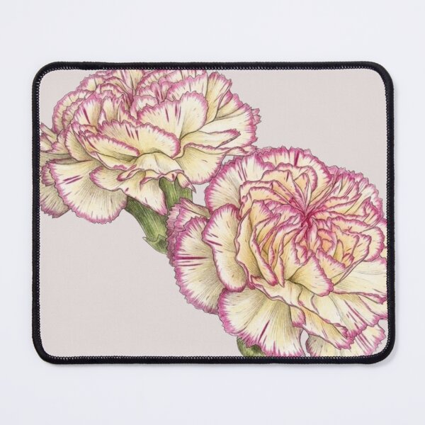 Item preview, Botanical Illustration of a Pink Carnation designed and sold by GanethViolette0.