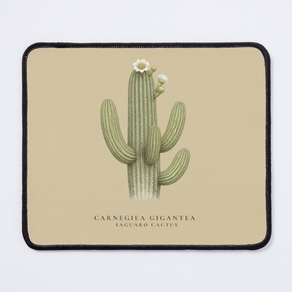 Item preview, Saguaro Cactus Vintage Botanical Illustration Carnegiea Gigantea designed and sold by Panom Suavichien.