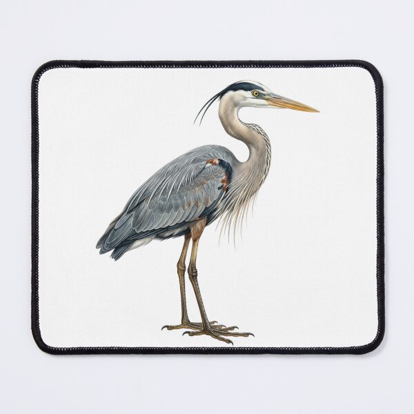 Item preview, Great Blue Heron Realistic Audubon Vintage Bird Illustration for Bird Watchers designed and sold by raedattia.