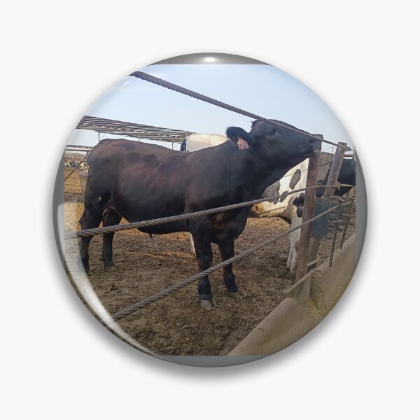 Item preview, cattle designed and sold by pksart1.