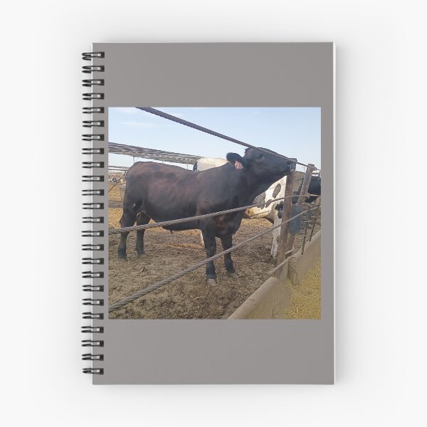 Item preview, cattle designed and sold by pksart1.