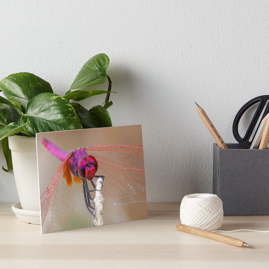 Item preview, Art Board Print designed and sold by RalphGoldsmith.