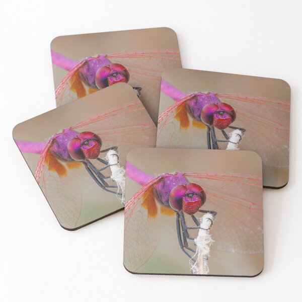 Item preview, Violet Dropwing Dragonfly designed and sold by Ralph Goldsmith.
