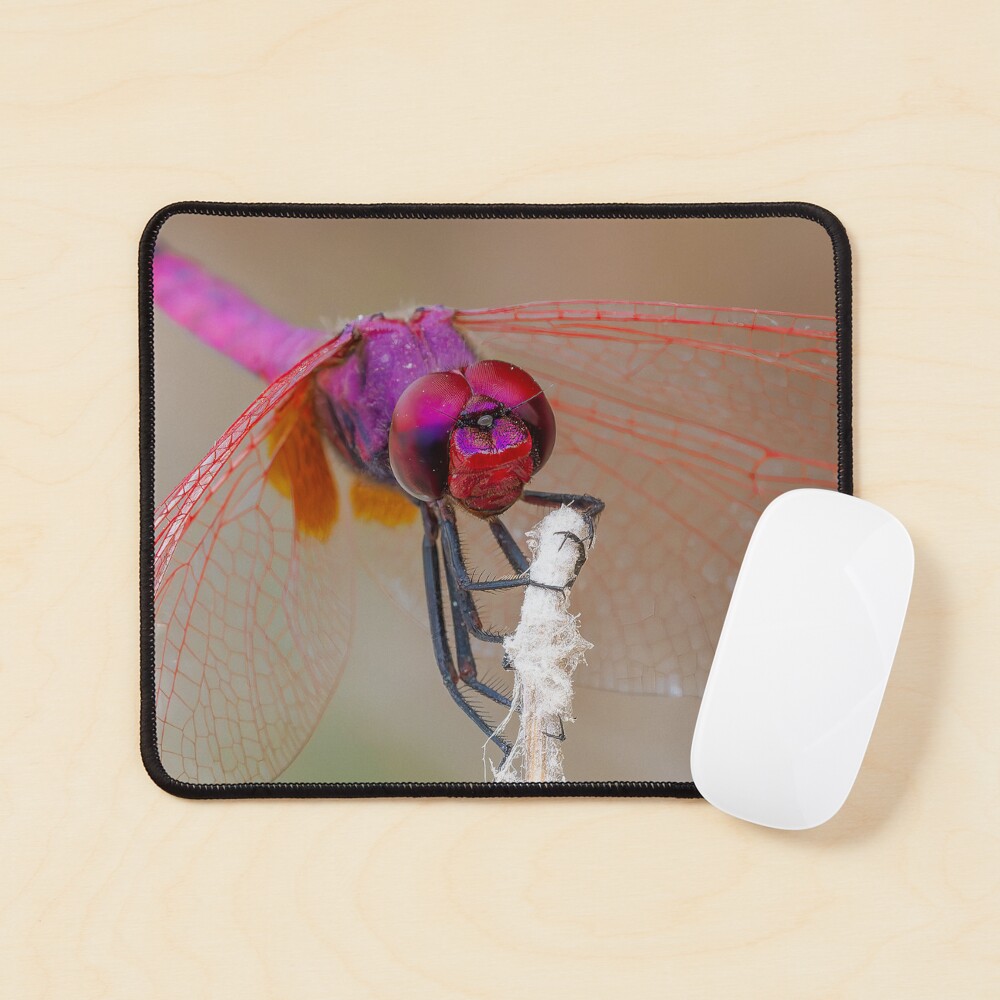 Item preview, Mouse Pad designed and sold by RalphGoldsmith.