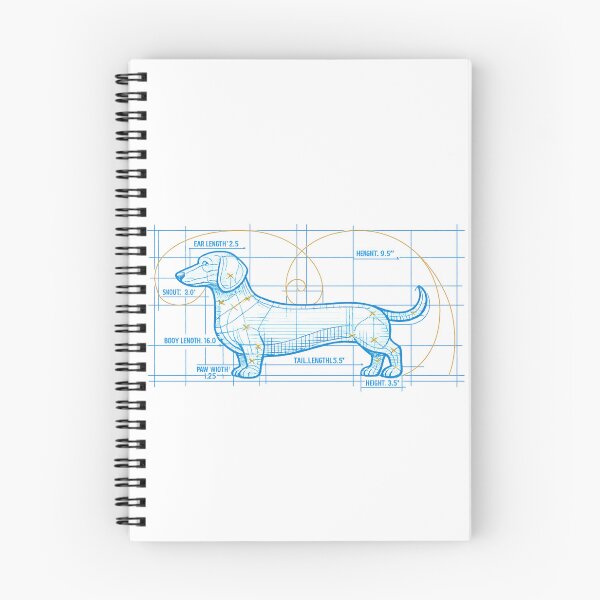 Item preview, Golden Ratio Dachshund Blueprint designed and sold by teemix.