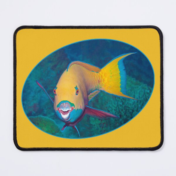 Item preview, Colorful Parrotfish Dynamic Oval * Modern Graphic Design | designed and sold by Photo & Design Ute Niemann.