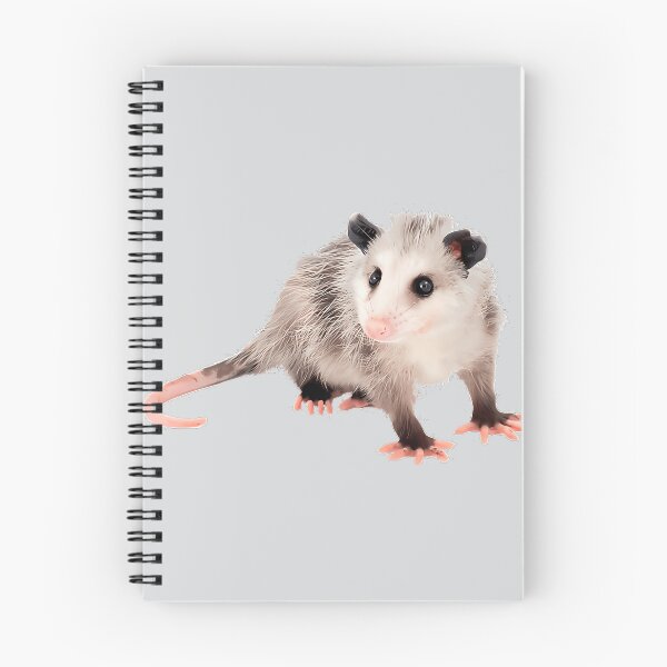 Item preview, Baby Opossum - Possum designed and sold by LoicThiessen.