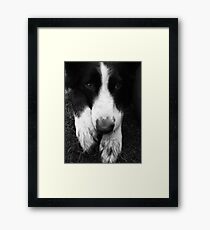 Bored Framed Print