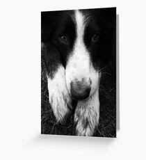 Bored Greeting Card