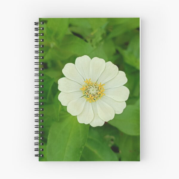 Item preview, white zinnia flower blooming in a garden. designed and sold by MiMee4451.