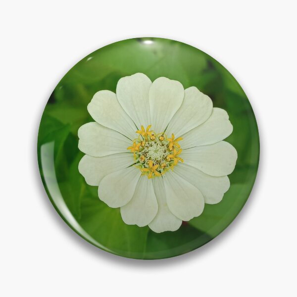 Item preview, white zinnia flower blooming in a garden. designed and sold by MiMee4451.