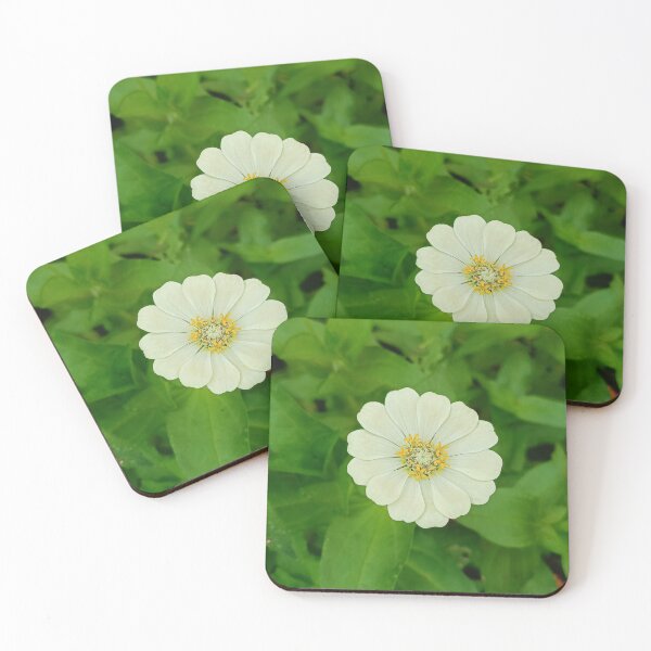 Item preview, white zinnia flower blooming in a garden. designed and sold by MiMee4451.