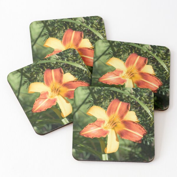 Item preview, Vibrant Two-tone Daylily Bloom in Summer Light designed and sold by Georgia Mizuleva.