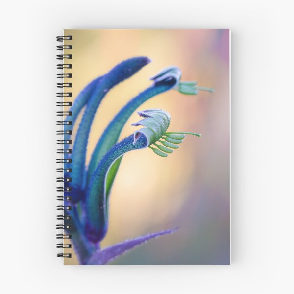 Item preview, Blue Masquerade Kangaroo Paw Macro – Fine Art Canvas Print designed and sold by MinzMarchStudio.