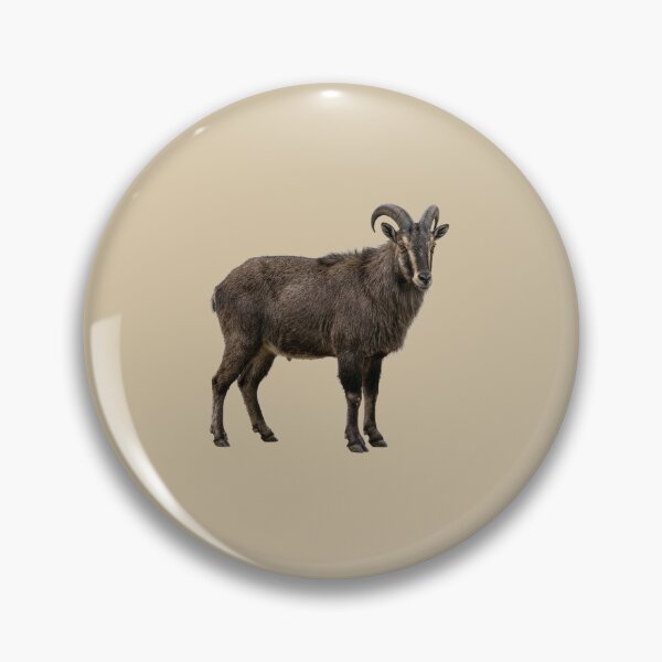 Item preview, Himalayan tahr designed and sold by ArunDandiboina.