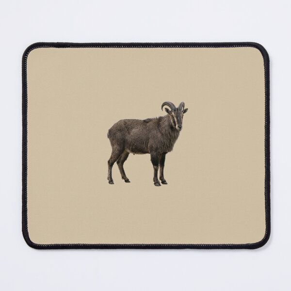 Item preview, Himalayan tahr designed and sold by ArunDandiboina.