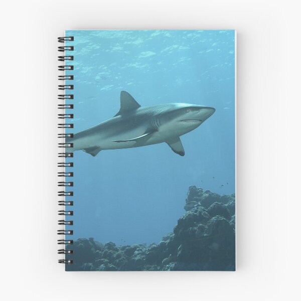 Item preview, Majestic Grey Reef Shark at Vertigo * Sunlit Pacific Photo |  designed and sold by Photo & Design Ute Niemann.