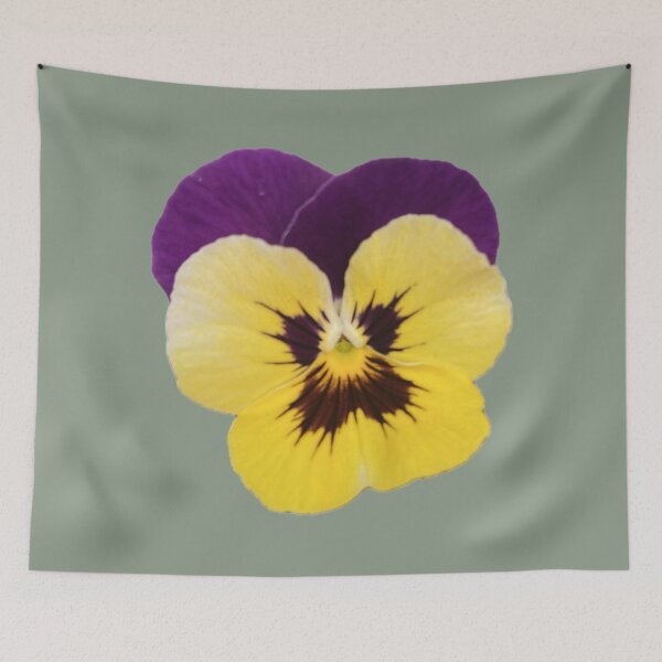 Item preview, Isolated Purple and Yellow Pansy Flower Graphic designed and sold by BalkanBloom.