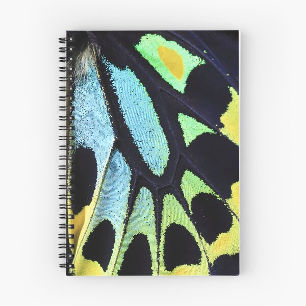 Item preview, Close up of Cairns Birdwing butterfly wing designed and sold by Rachel Elizabeth Photography.