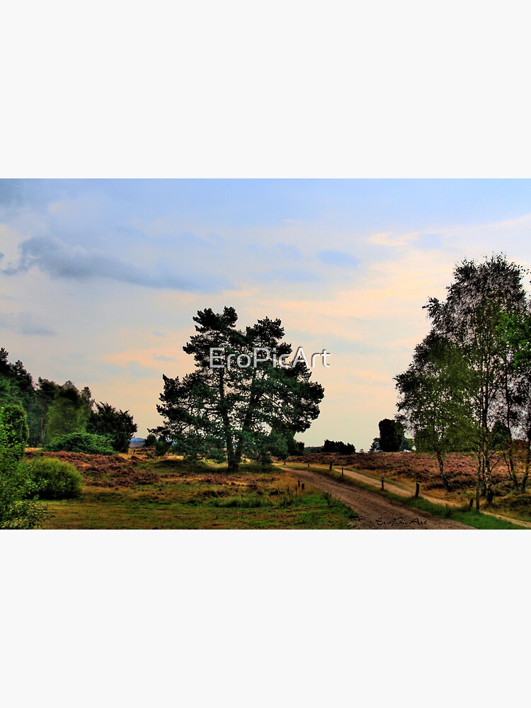 Heideweg by EroPicArt
