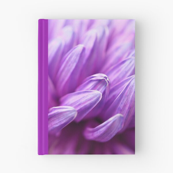 Item preview, Close up of purple chrysanthemum petals designed and sold by Rachel Elizabeth Photography.