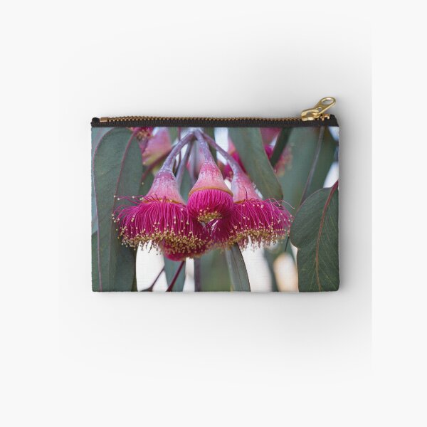 Item preview, Silver Princess Mallee Blossom Macro 2 – Fine Art Canvas Print designed and sold by MinzMarchStudio.