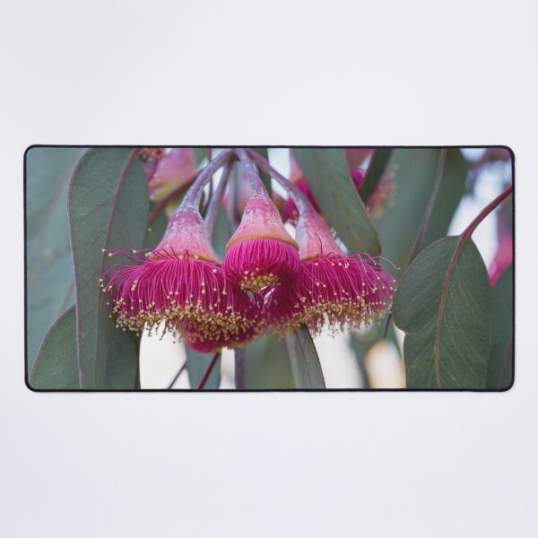 Item preview, Silver Princess Mallee Blossom Macro 2 – Fine Art Canvas Print designed and sold by MinzMarchStudio.
