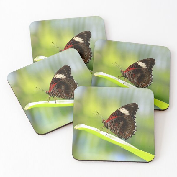 Item preview, Red Lacewing Butterfly designed and sold by Rachel Elizabeth Photography.
