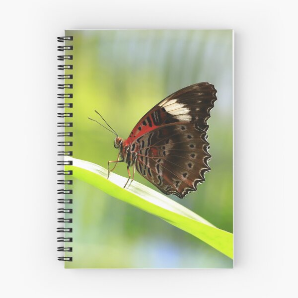 Item preview, Red Lacewing Butterfly designed and sold by Rachel Elizabeth Photography.