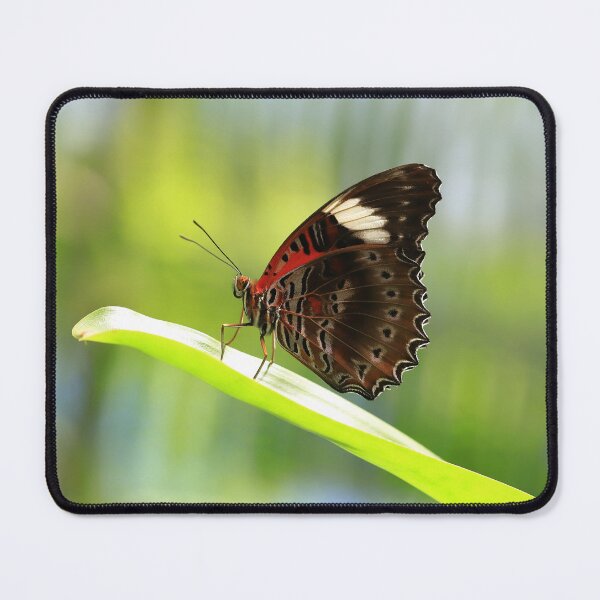 Item preview, Red Lacewing Butterfly designed and sold by Rachel Elizabeth Photography.