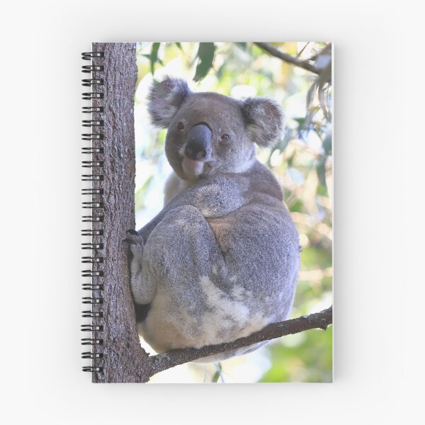 Item preview, Koala - just chilling designed and sold by Rachel Elizabeth Photography.